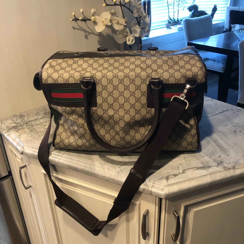 Gucci pet carrier